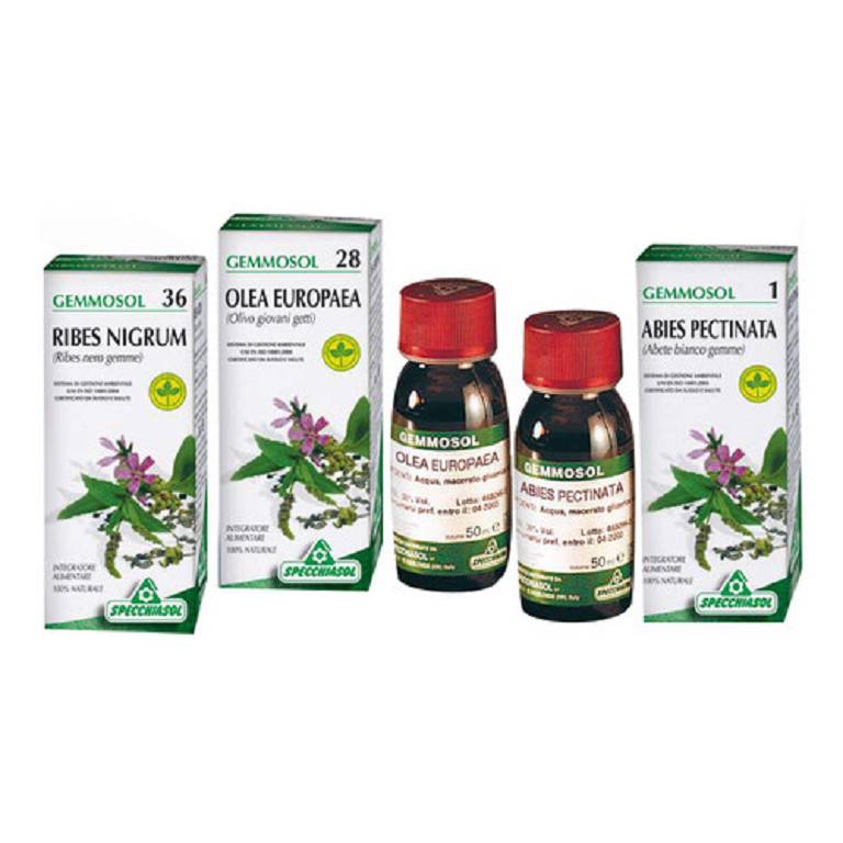 GEMMOSOL 22 BIANCOSPINO 50ML